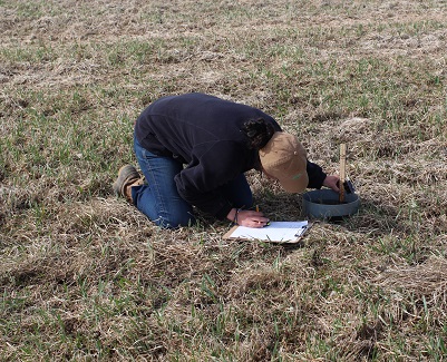 Abby doing soil health measurements in the field